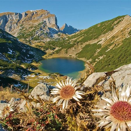 فندق Schwaiger Breitenbach am Inn المظهر الخارجي الصورة